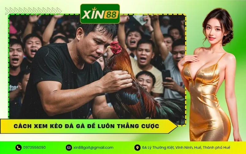 Kèo Đá Gà