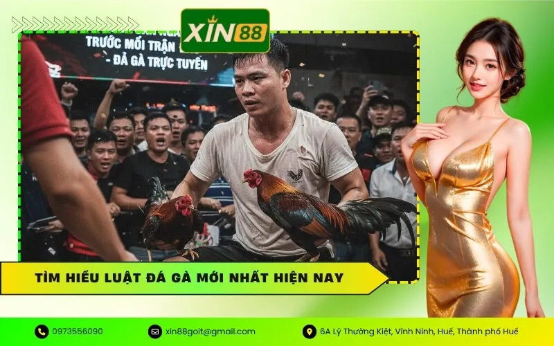 Luật Đá Gà